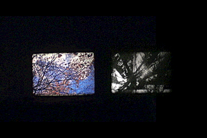 parallelism.gif