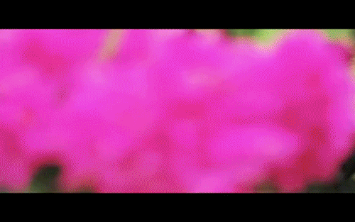 EL EXTRAÑO CONOCIDO (2009)