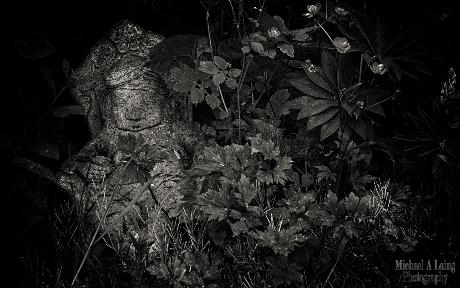 I seem to have a thing for garden ornaments. 