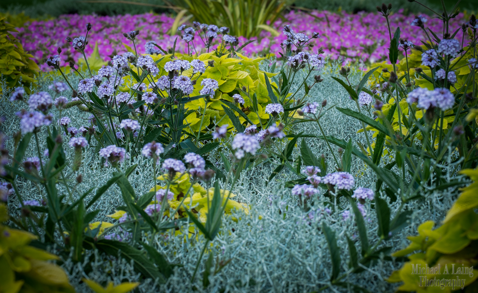 Taken in Regents park