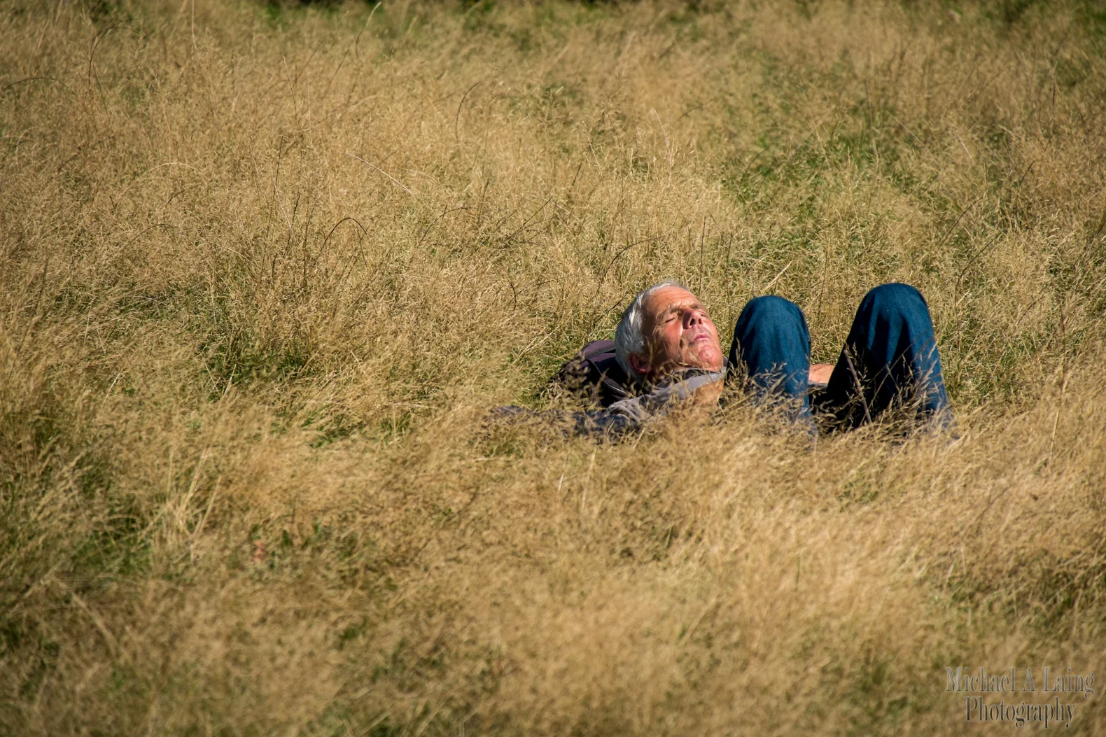 Another image taken in regents park. I wasn't the best time of day but I liked that he stood out against the grass.