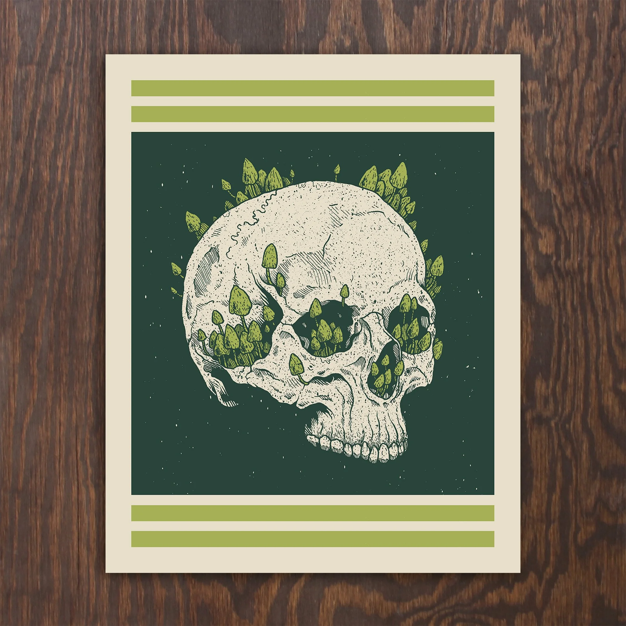 SkullCover.jpg