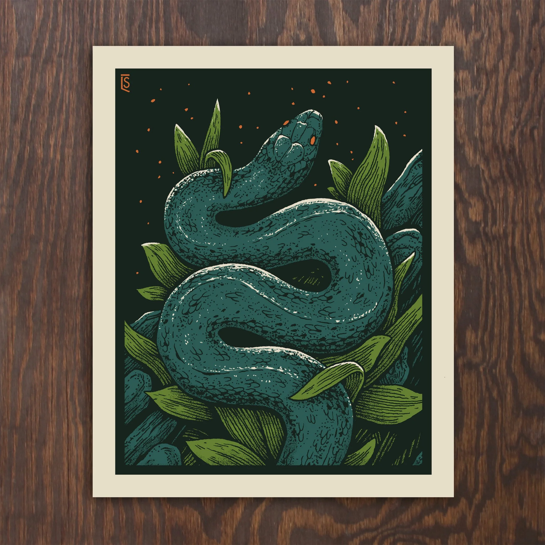 SnakeCover.jpg