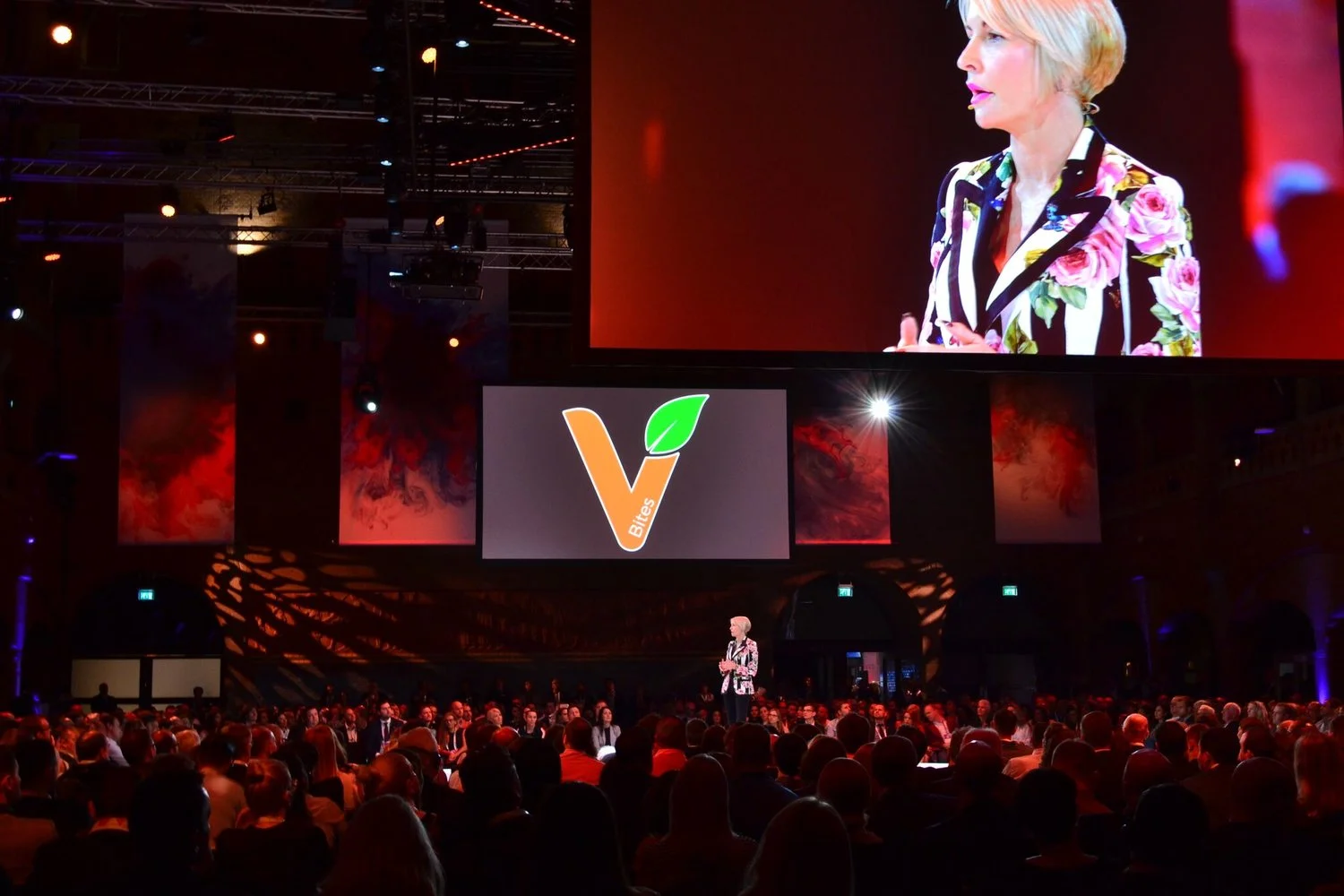 Heather speaking at Remax 2018 about VBites