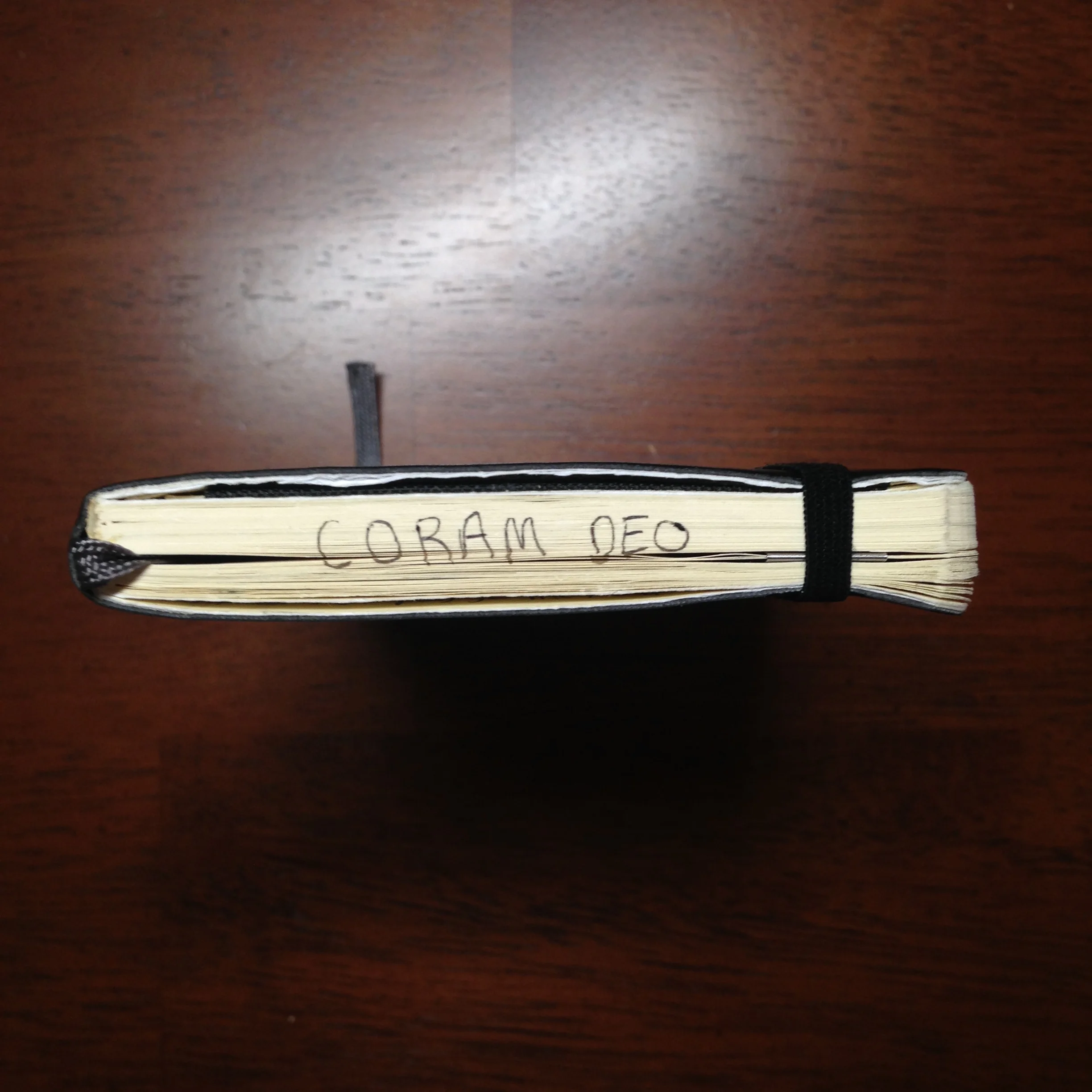 Coram Deo means "Before the face of God." A great reminder.