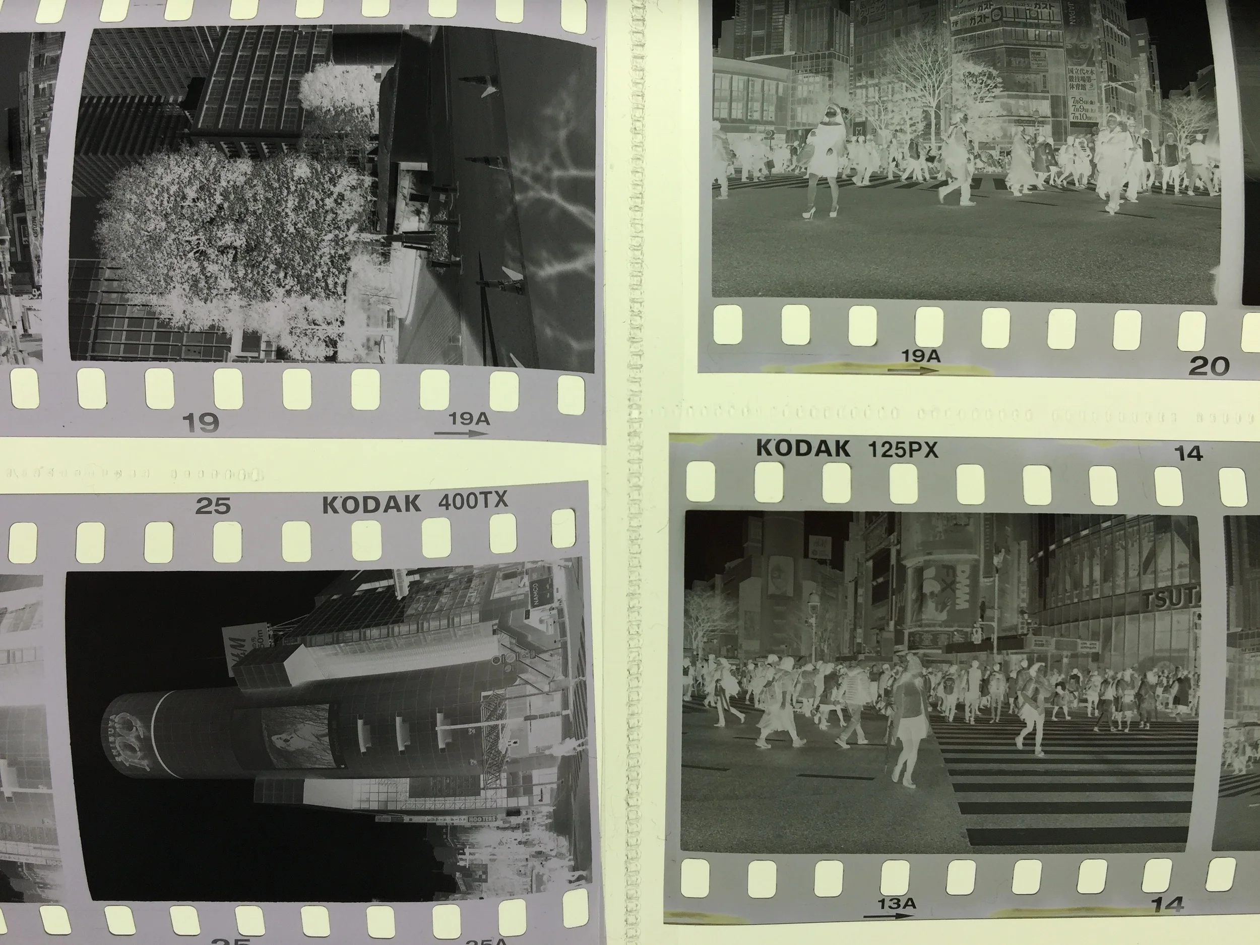 So Plus-X they were able to make in B & W ... why not Tri-X ?