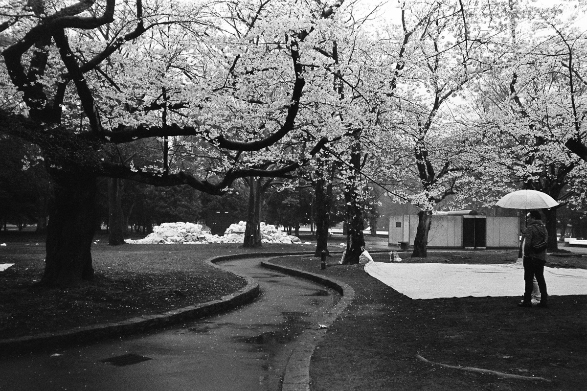 Fujifilm Neopan Presto 400 expired in 2006 - Yoyogi Koen, Shibuya, Tokyo