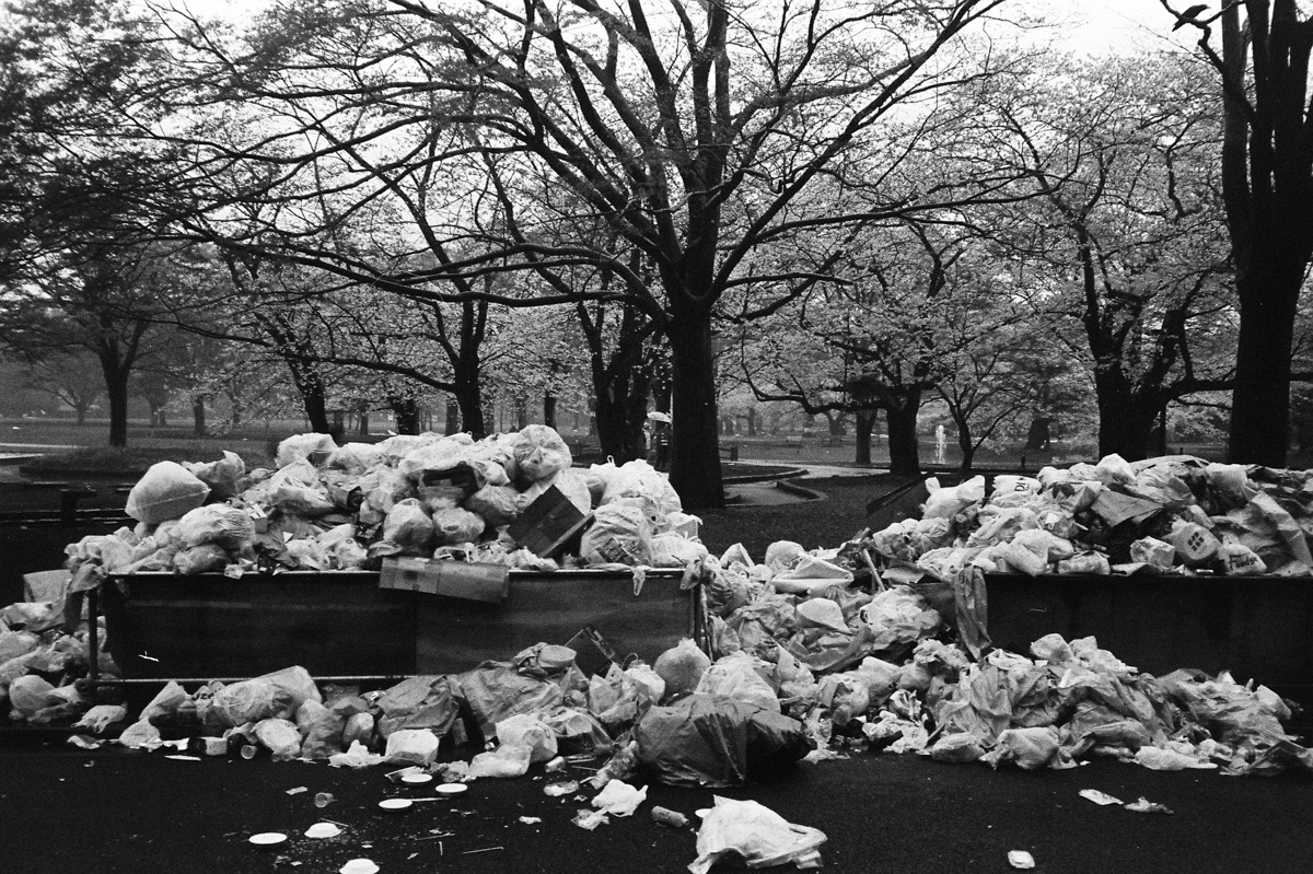 Expired Neopan 400 - Yoyogi Koen, Shibuya, Tokyo after the cherry blossom parties