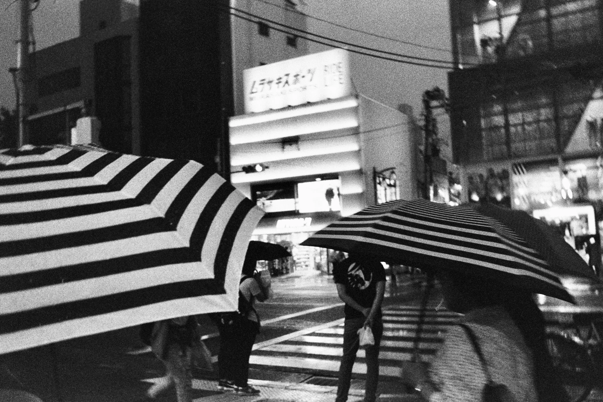 Delta3200 scanned image.