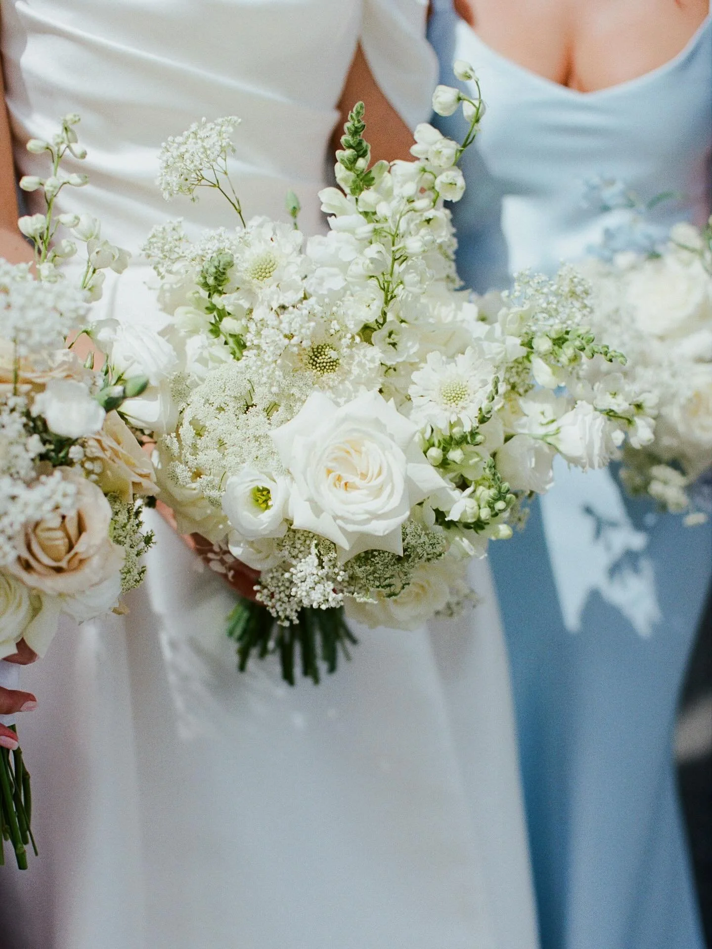 Spring is the air and we are back blooming!  The prettiest weddings are on their way 😍🌸🚐&hellip; Photo by @alexcohenphotography 🤍🤍🤍