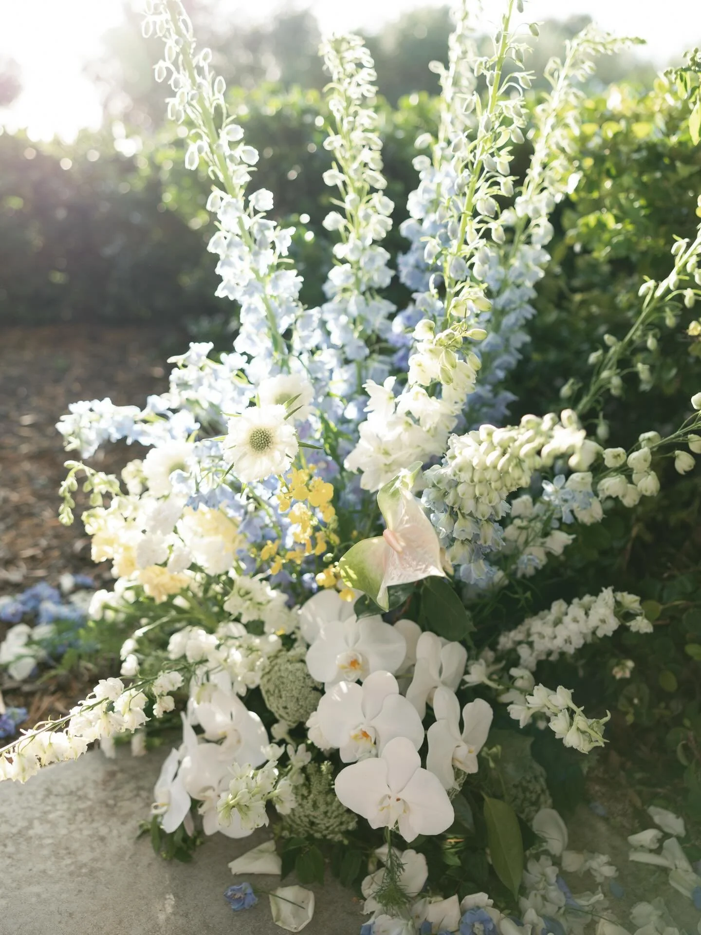 I + P ~ Moments from their gorgeous day by @el.woodsphotography 🩵🌿