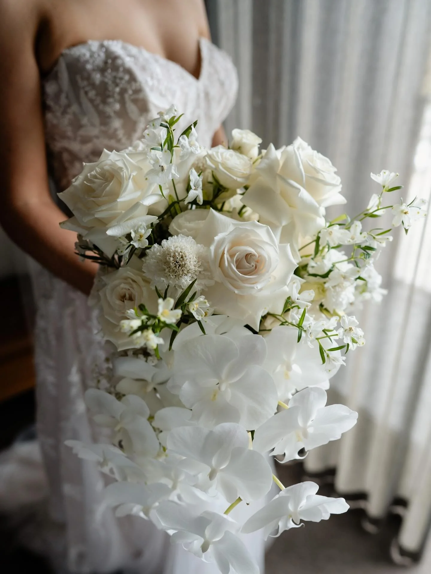 Miranda 🤍🕊️ Photo by @westcreative 🤍