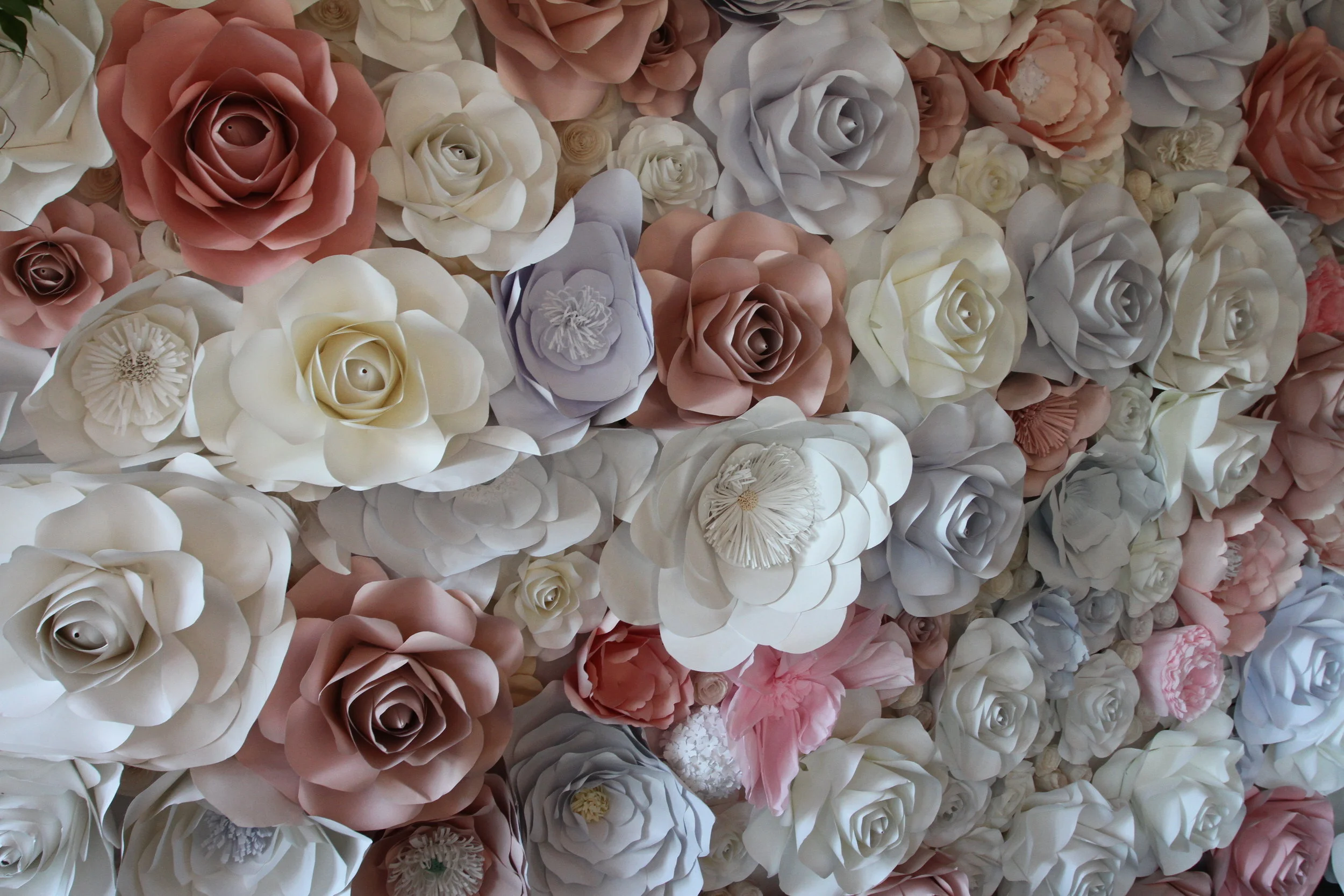 Detaille Weddings & Events (19).jpg