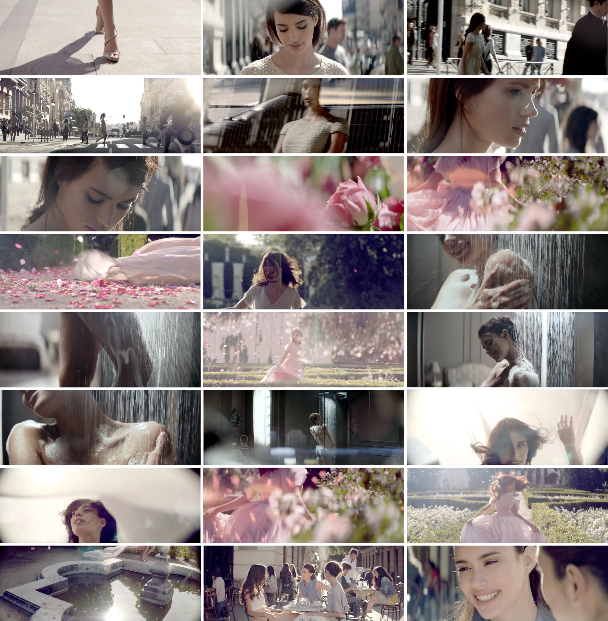 still frames.jpg
