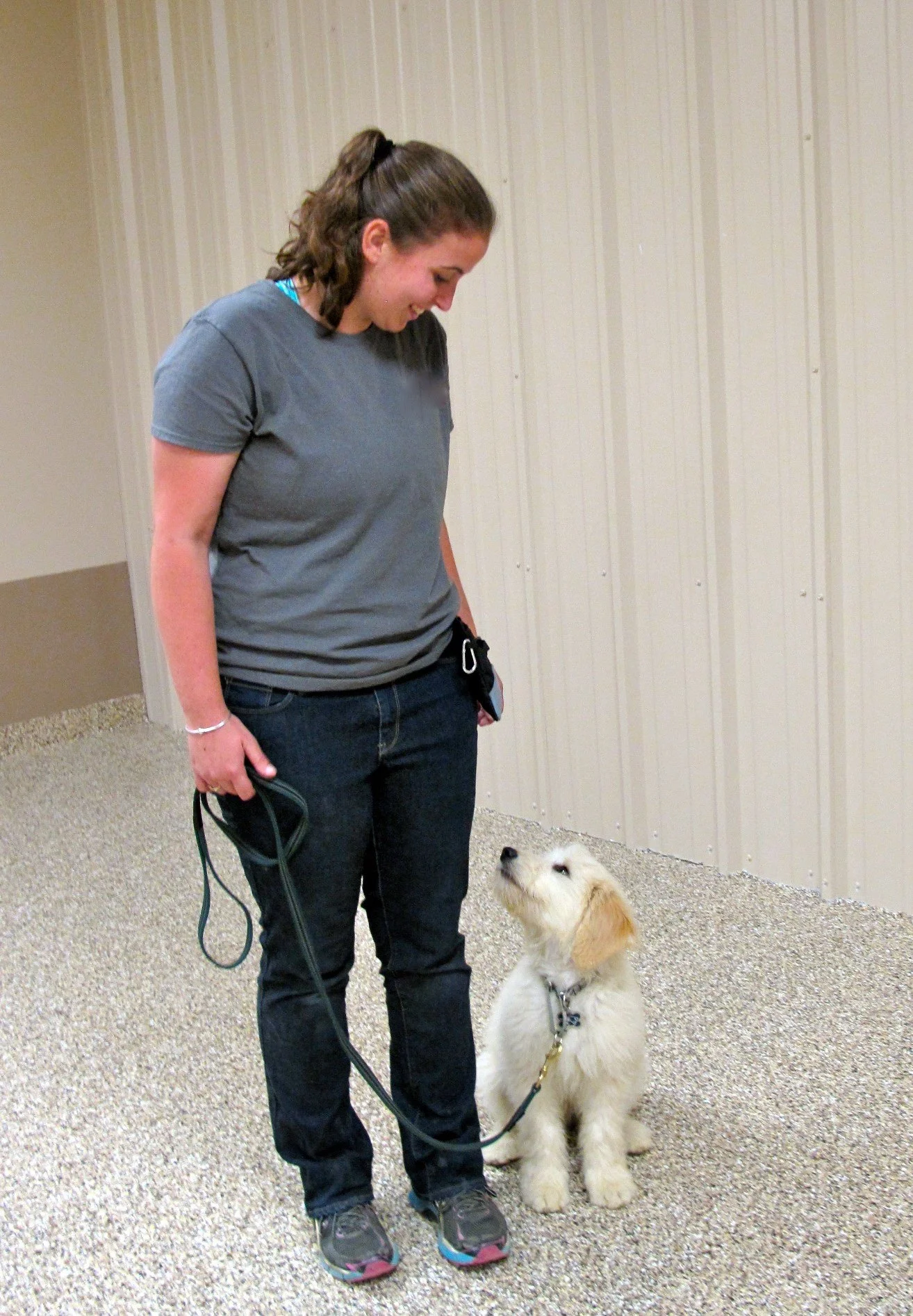 dog_training.jpg