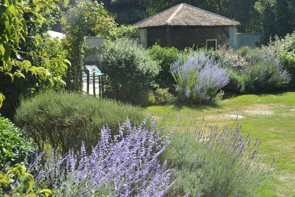 Un Jardin Magnifique