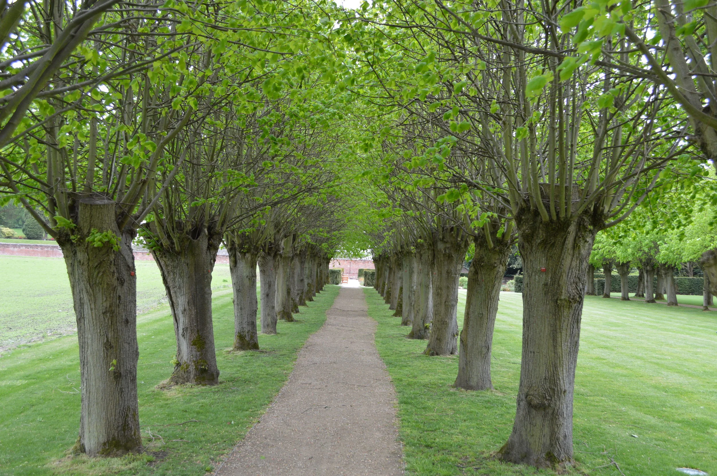 It's not just what's inside that counts