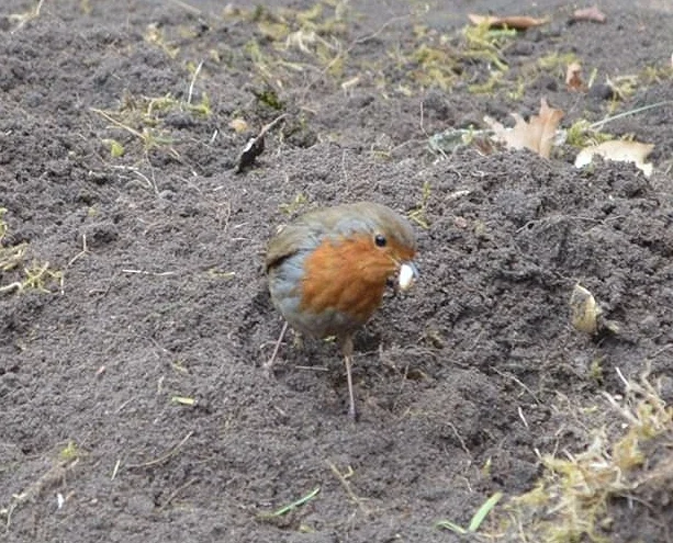 There’s no such thing as a small garden project!