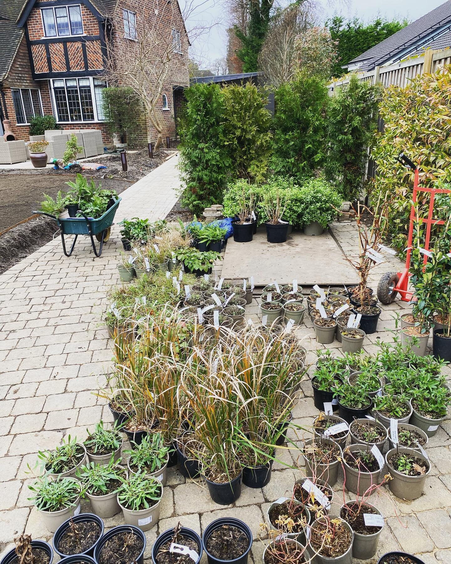 Good planting session today 🌱