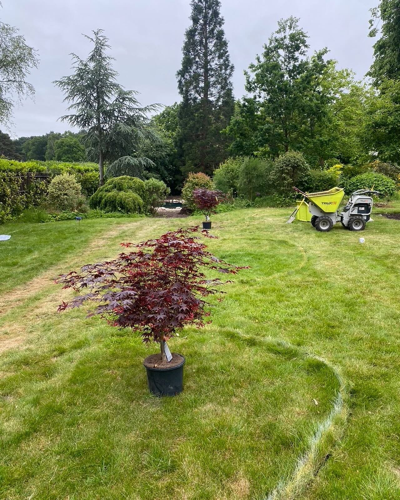 Remodelling a lawn area into a relaxed sunny seating space with surrounding planting. 1 year on and maturing well. Swipe to see development stages.
#gardendesign