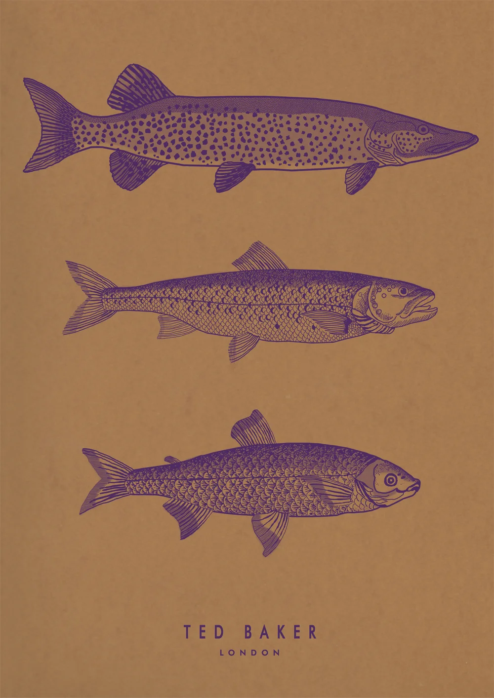 ted baker fish copy.jpg