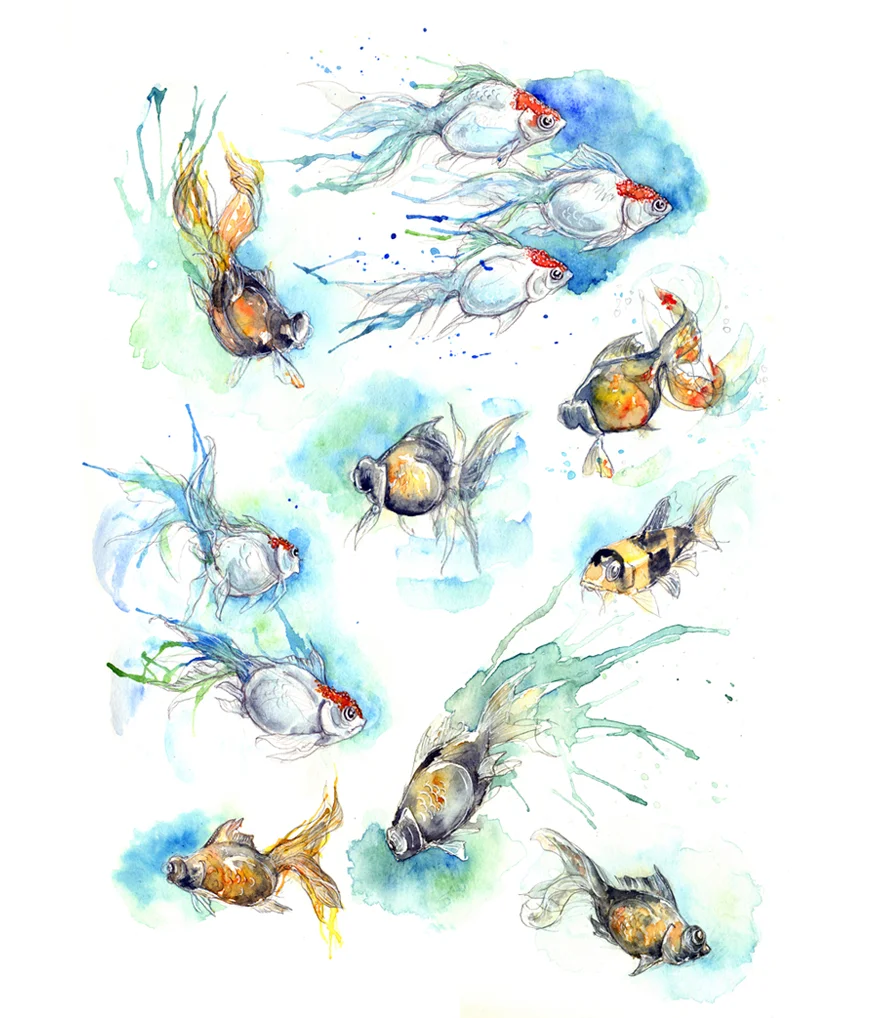 fishallsbcollection 880.jpg