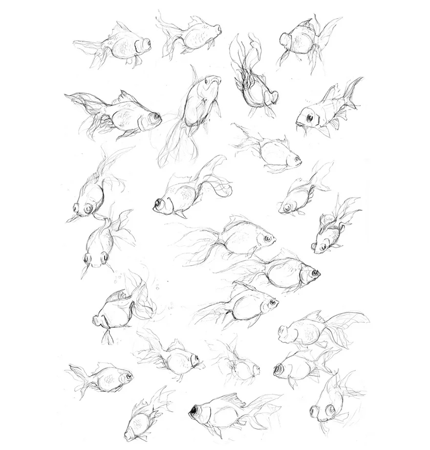 fish sketches big a3 880.jpg