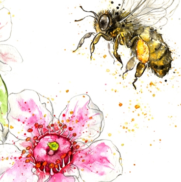 Manuka Bee smallerbee 800x800.jpg
