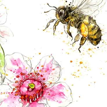Manuka Bee smallerbee 800x800.jpg