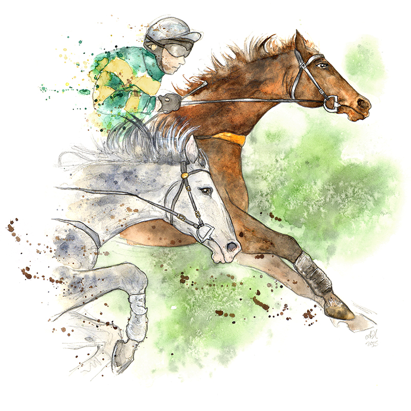 steeplechase amended small 800 2.jpg