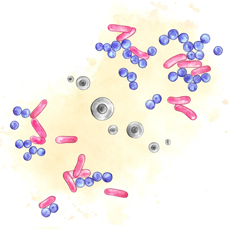 Pathogens 800 x 800.jpg