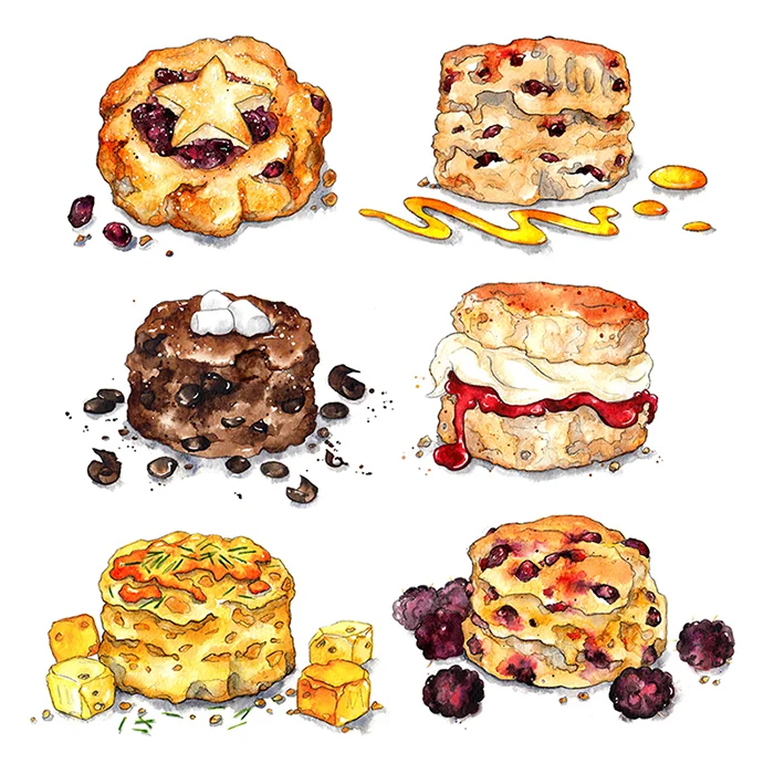 Scones collection fin small 700.jpg