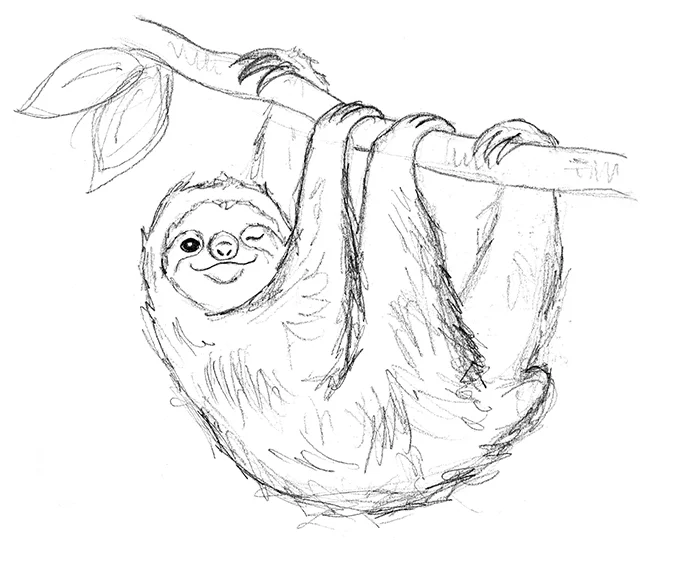 Sloth skch small.jpg