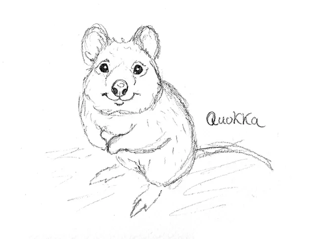 Quokka sktch small.jpg