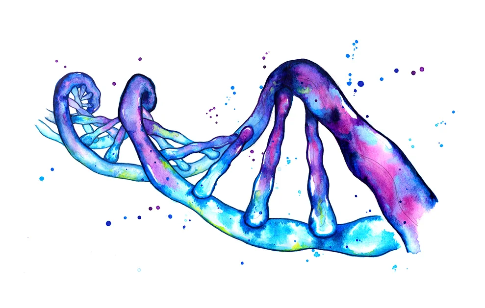 DNA helix 2 final colour FIN small.jpg