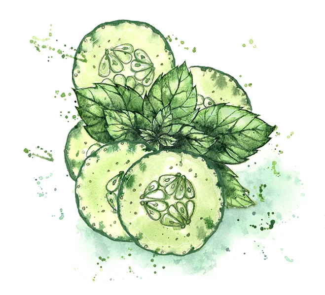 Cucumber Mint colour smaller web.jpg