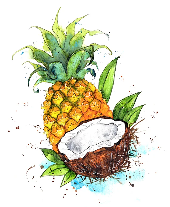 Coconut Pineapple colour smaller web.jpg