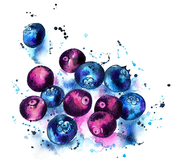 Berries colour smaller web.jpg
