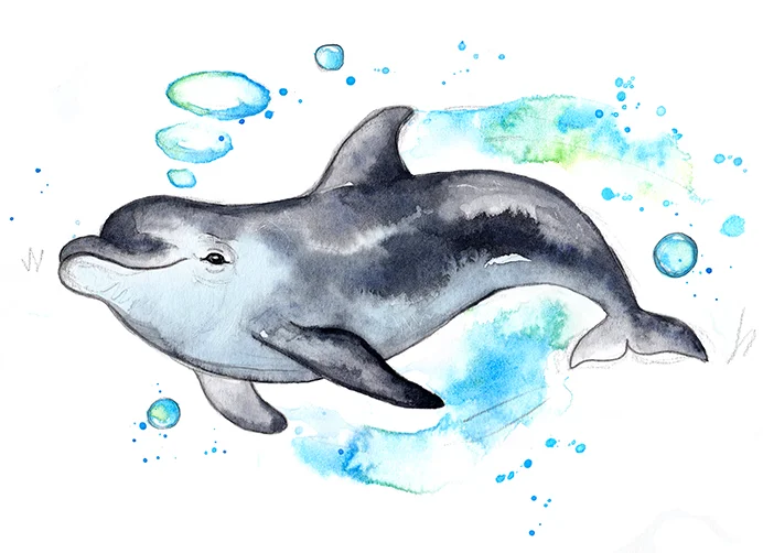Dolphin 2 colour edit small.jpg