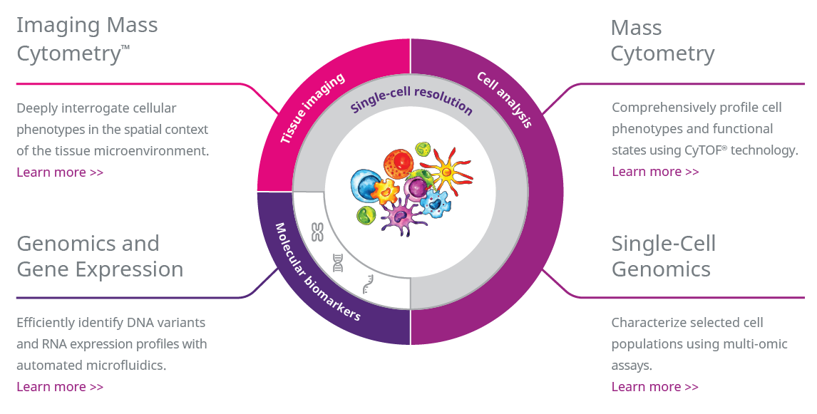 wheel-chart-large.png