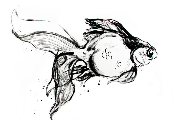 IMG_0384bw2sml.jpg