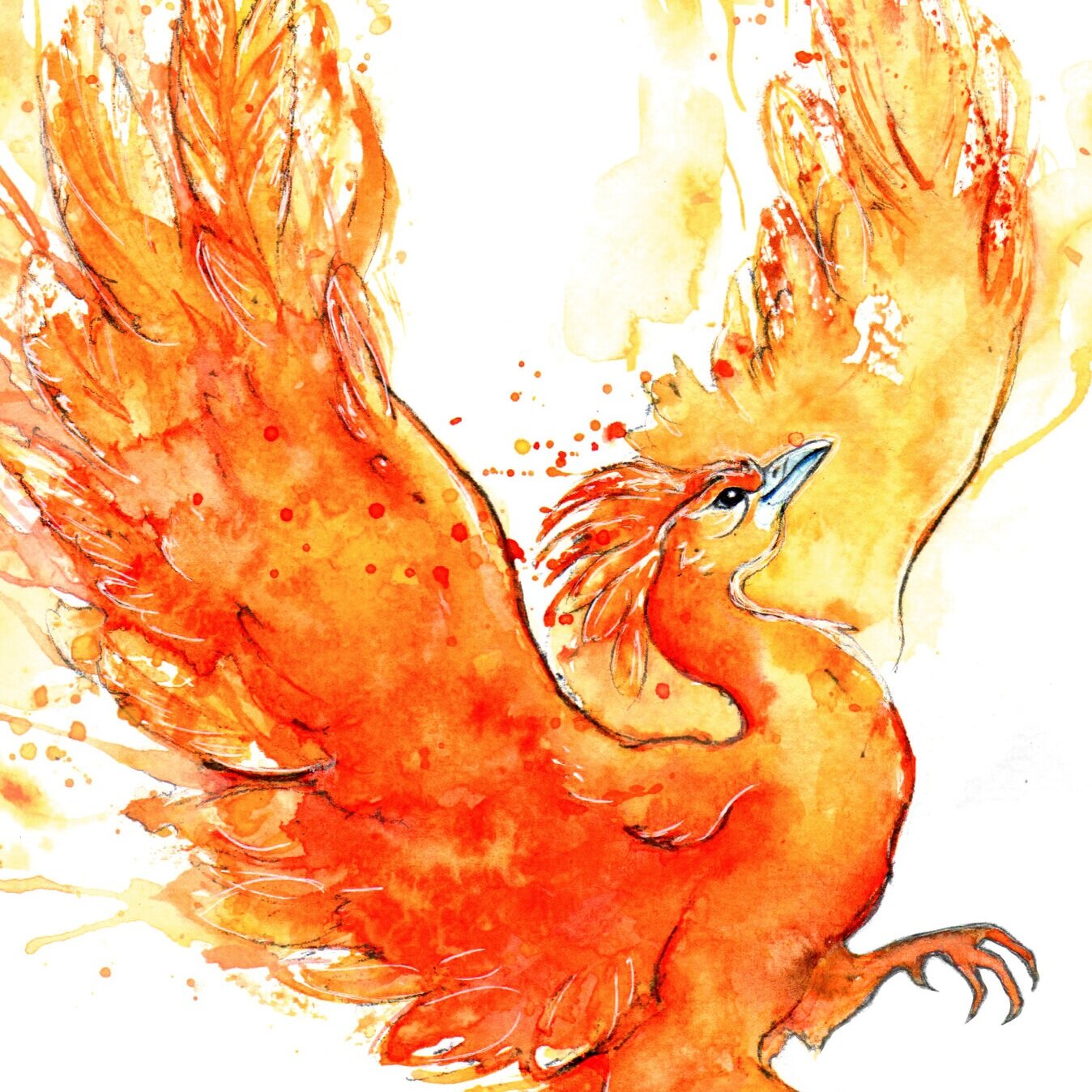 Phoenix+red+ed+big+without+blue+2.jpg