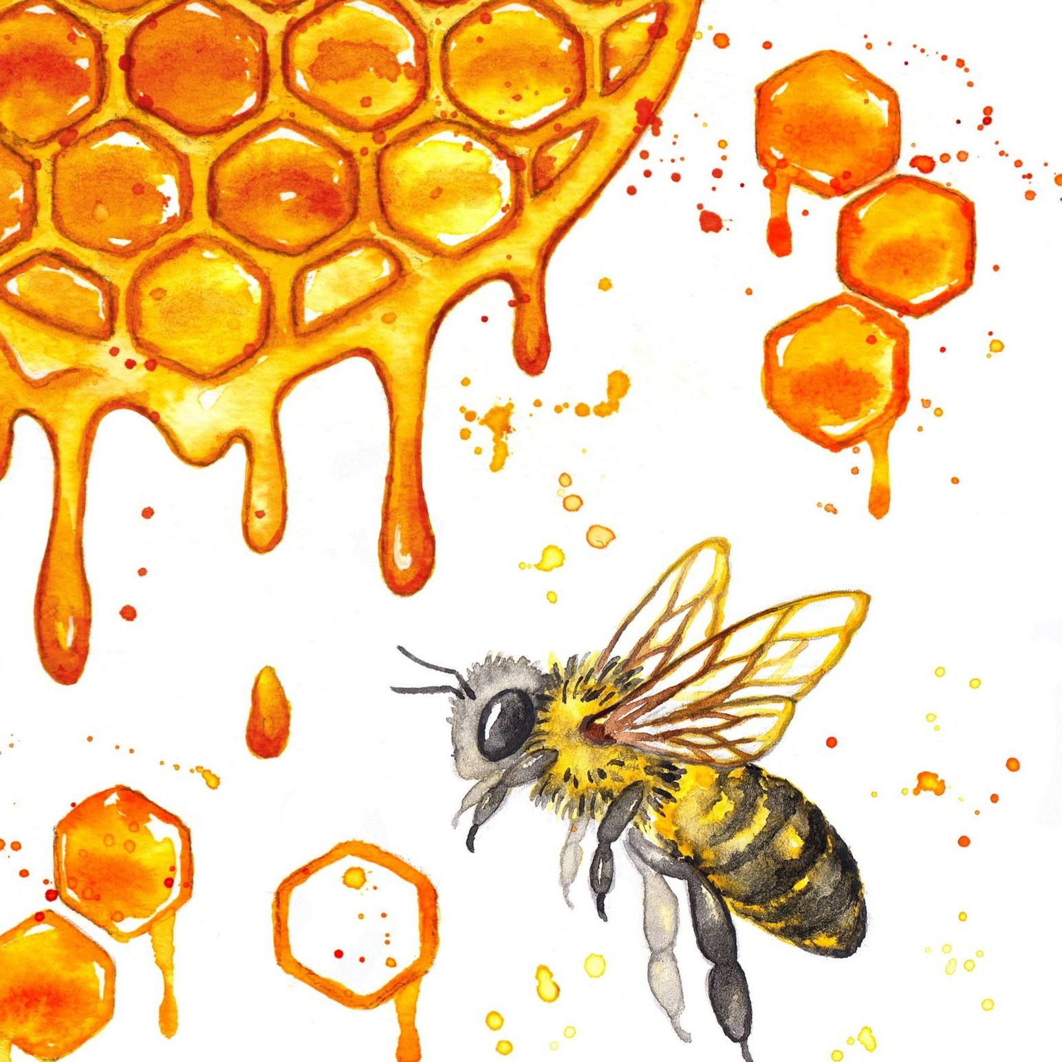 honeycomb+heart+with+bees+and+small+combs+big.jpg
