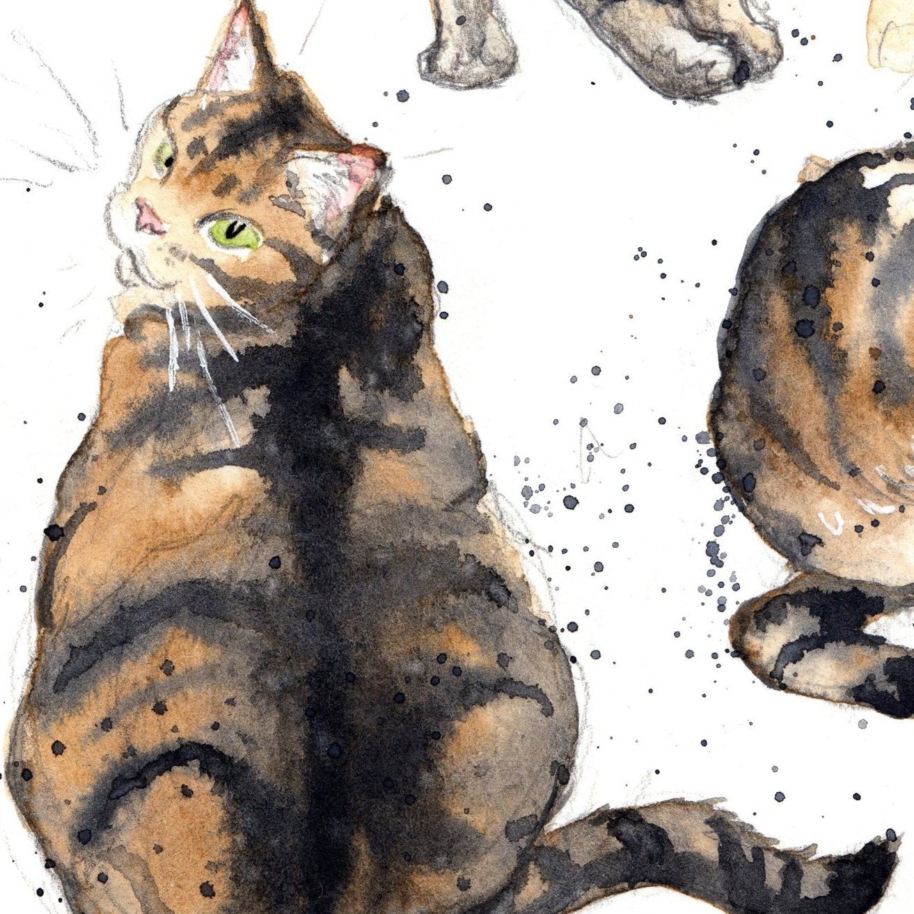 tabby+kat+three+big+600+3.jpg