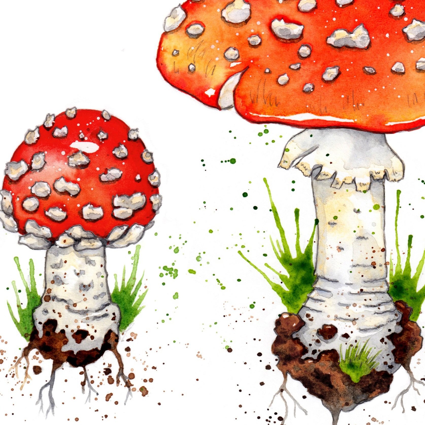 fly+agaric+mush+pair+colour+straight+big2.jpg