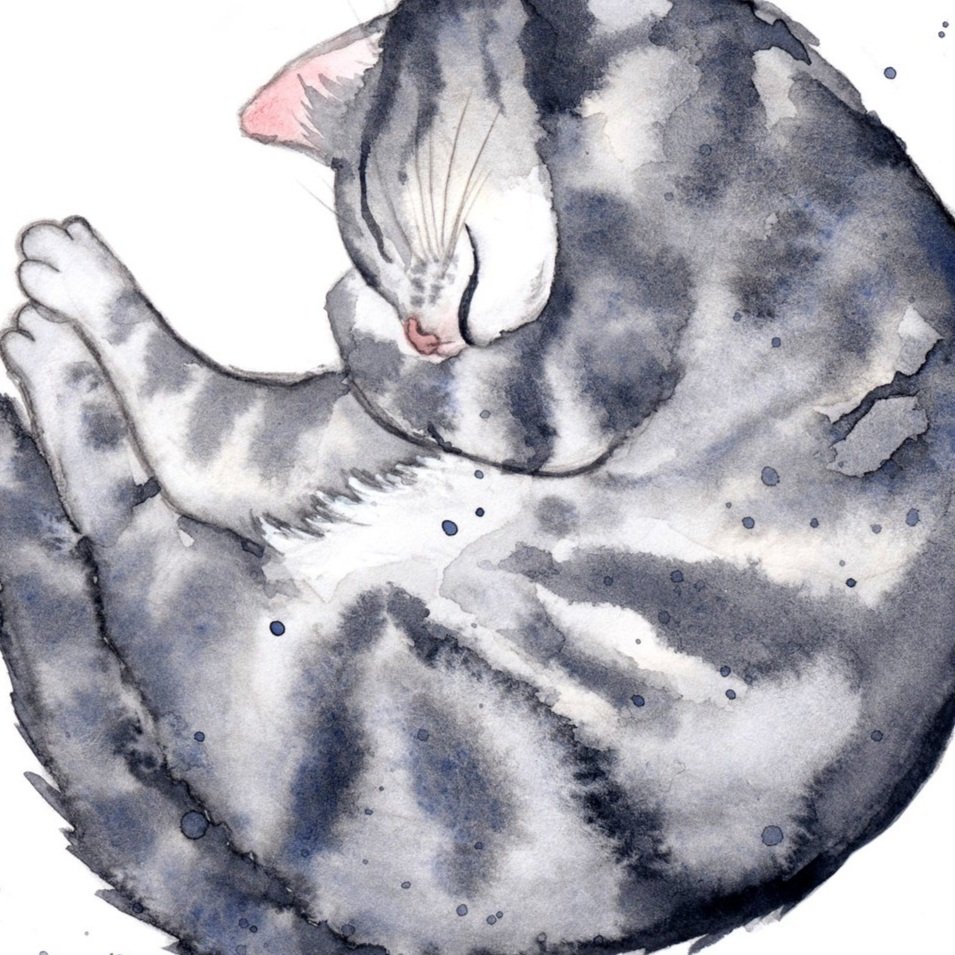sleepy+kats+sketches+4+big+col+600+squ.jpg