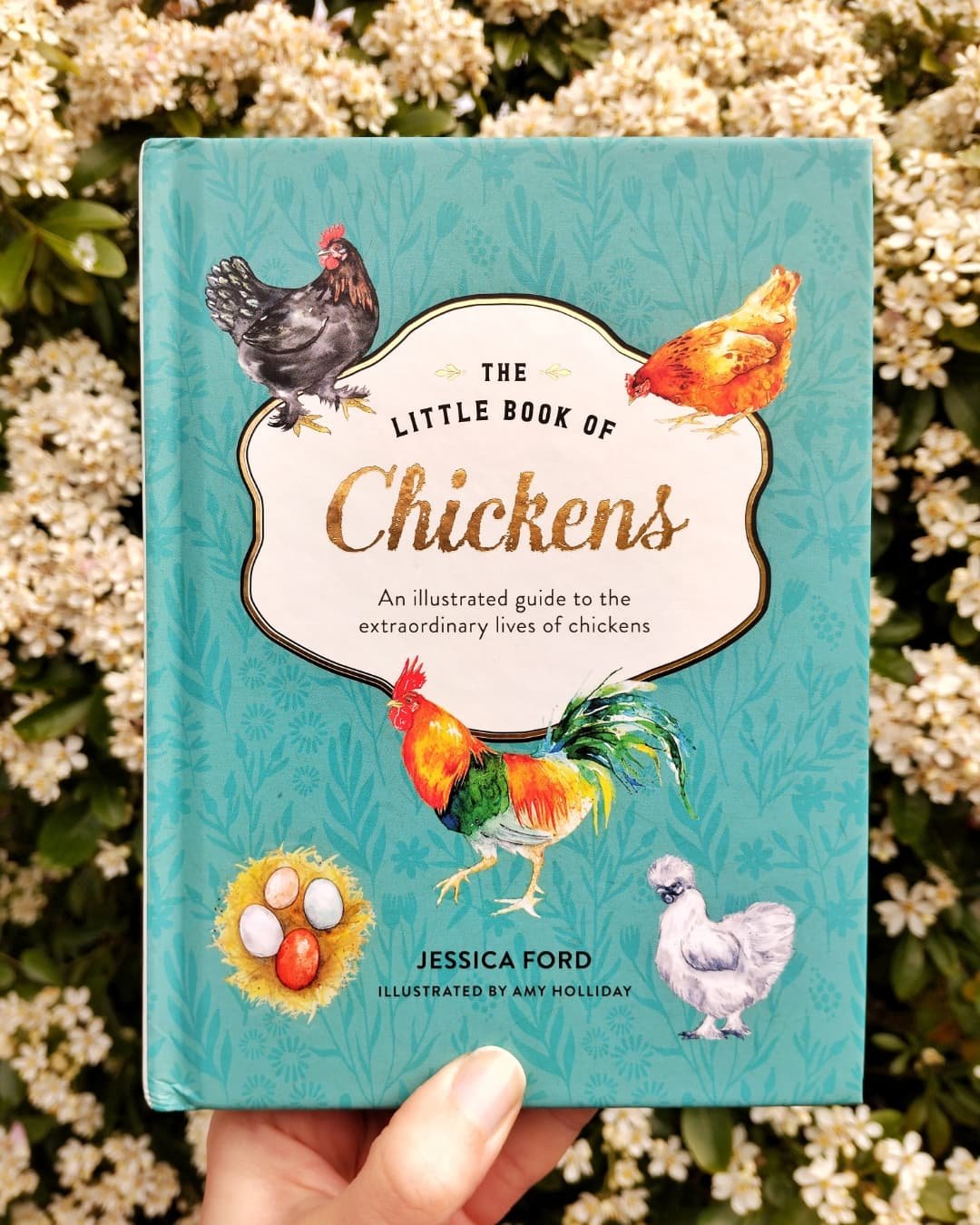 The Little Book of Chickens is out today! 🐣

Over the winter months, I worked with the lovely @HarperCollins team alongside chicken expert Jessica Ford, to illustrate this pretty little giftbook packed full of chicken-keeping knowledge. 

I first pa