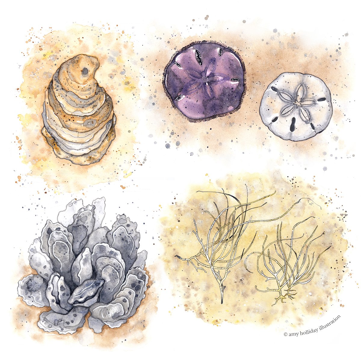 3181 beach illo 4 300 C.jpg