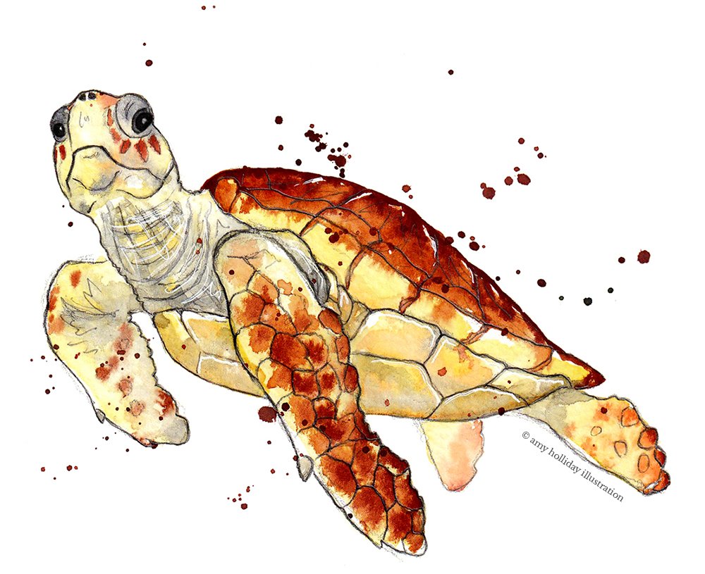 Turtle colour big 3 amended brown 300 C.jpg