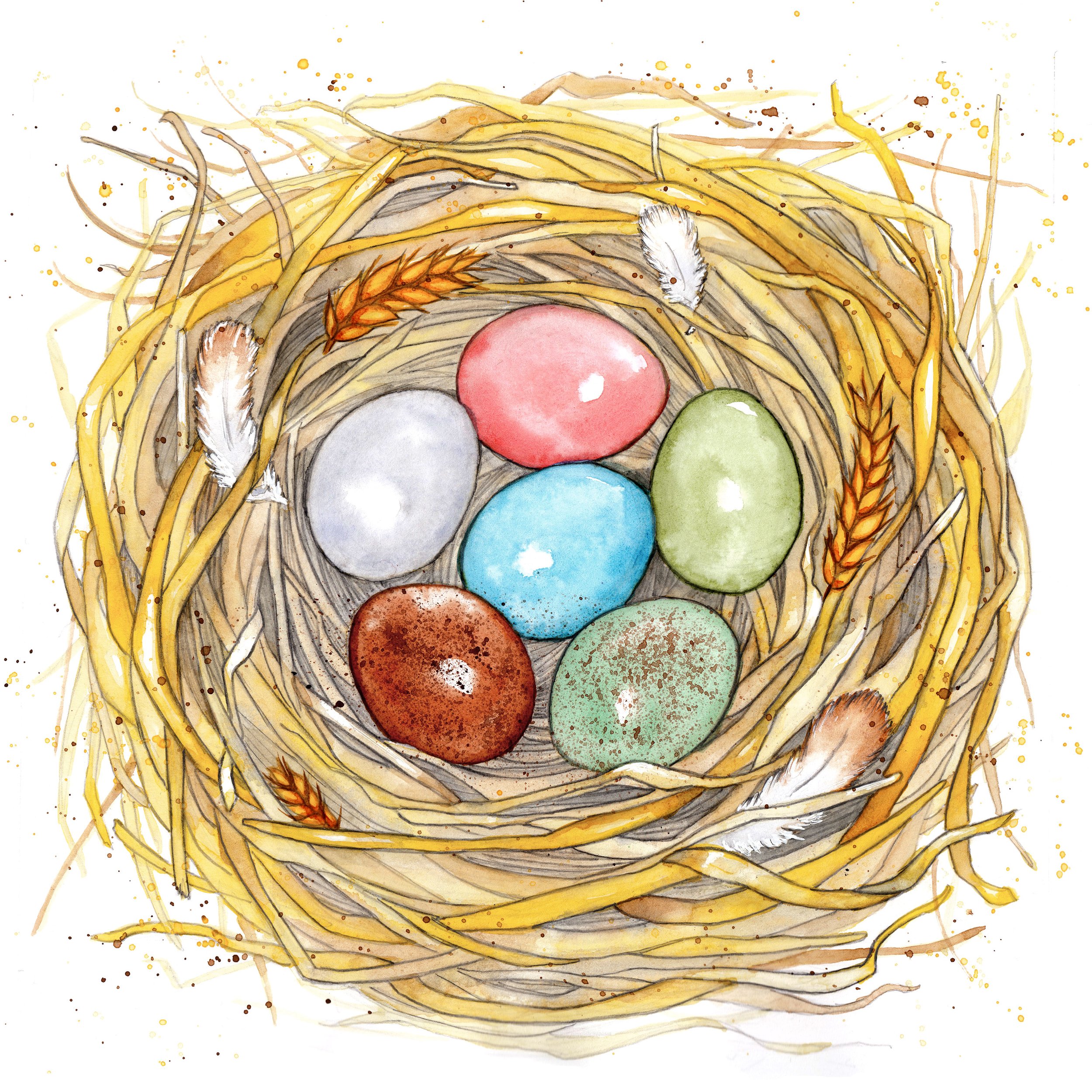 chicken-storybook-nest-with-chicken-eggs-col-big.jpg